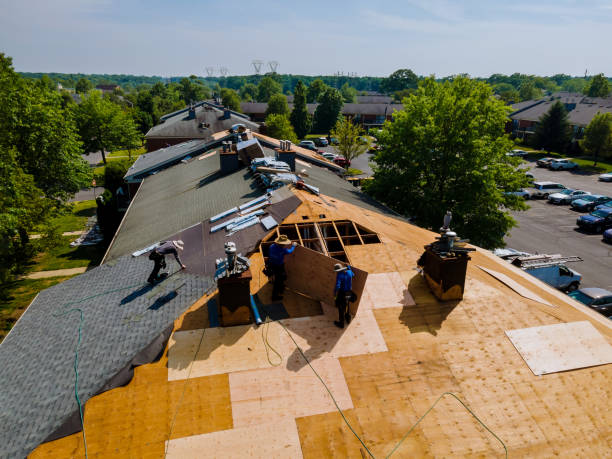 Best New Roof Installation  in Edmore, MI