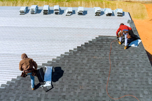 Best Roof Gutter Cleaning  in Edmore, MI