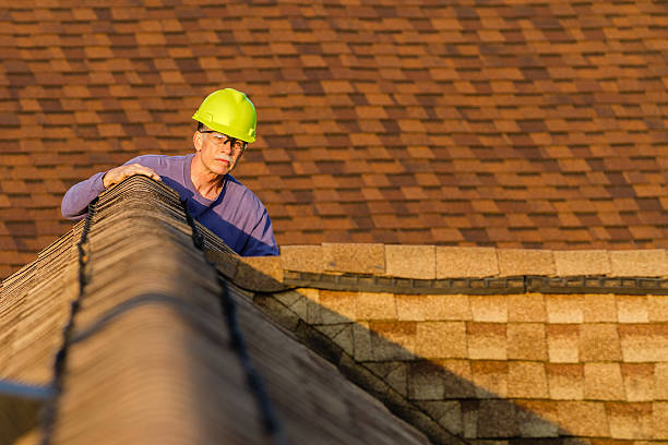 Best Residential Roofing Contractor  in Edmore, MI