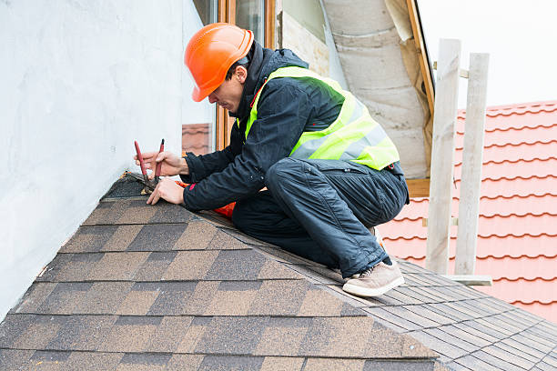Best Roof Restoration Services  in Edmore, MI