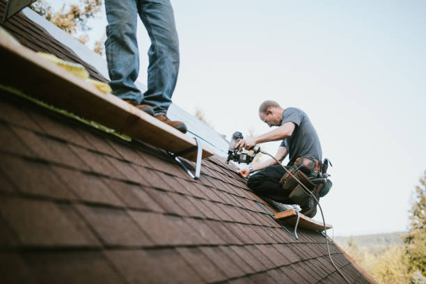 Best Roof Maintenance Services  in Edmore, MI
