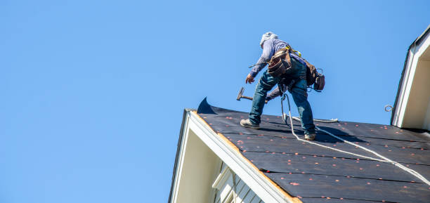 Best Local Roofing Companies  in Edmore, MI